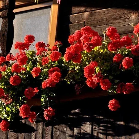 Apartmán Kaernten Landhof Baer In Alleinlage Naehe Millstaettersee Im Ersten Stock Mooswald