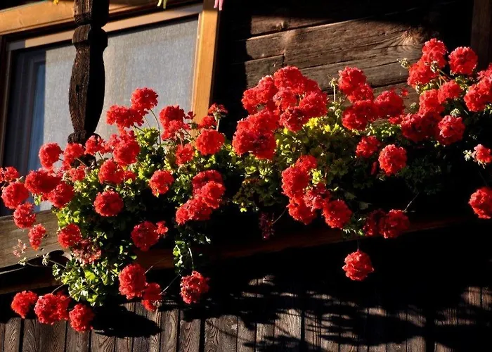 Apartmán Kaernten Landhof Baer In Alleinlage Naehe Millstaettersee Im Ersten Stock Mooswald